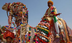 Pushkar Fair