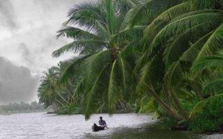 Best of Kerala