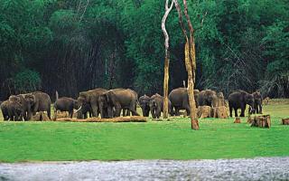 India Heritage & WildLife Tours