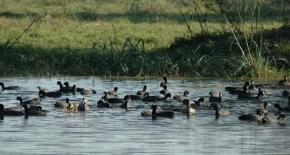 GoldenTriangle With Bharatpur